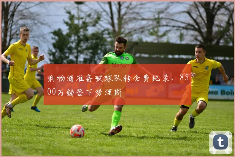 利物浦准备破球队转会费纪录，8500万镑签下努涅斯