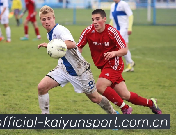 开云体育服务体系